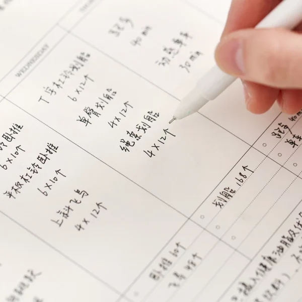 DIY Weekly Monthly Undated 60 Sheets Planner